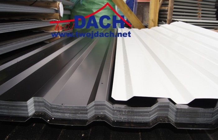 najtańsza blacha , najtańszy blacha, najtańsze trapezy , tanie blachodachówki , tanie blachy, tanie trapezy , tanio blachodachówki, tanio trapezy, tanio blachy, tanio blachy dachowe, tanie pokrycia dachowe, tanie blachy tanio trapezyDSC05404