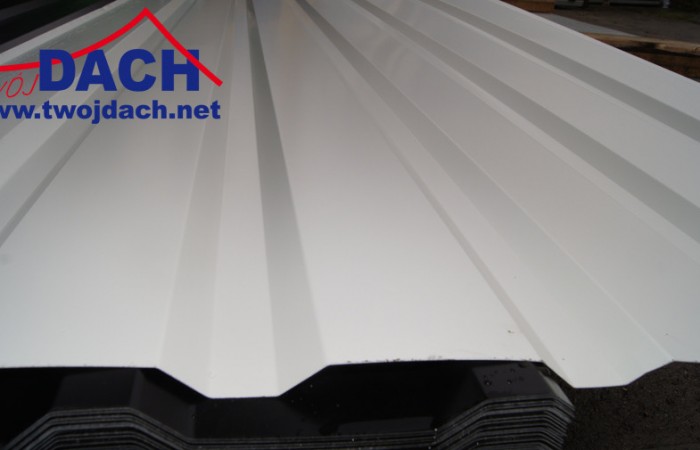 najtańsza blacha , najtańszy blacha, najtańsze trapezy , tanie blachodachówki , tanie blachy, tanie trapezy , tanio blachodachówki, tanio trapezy, tanio blachy, tanio blachy dachowe, tanie pokrycia dachowe, tanie blachy tanio trapezyDSC05406