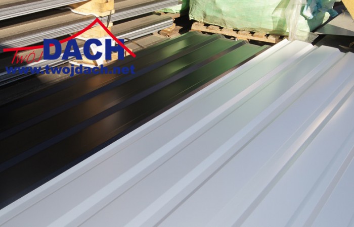 najtańsza blacha , najtańszy blacha, najtańsze trapezy , tanie blachodachówki , tanie blachy, tanie trapezy , tanio blachodachówki, tanio trapezy, tanio blachy, tanio blachy dachowe, tanie pokrycia dachowe, tanie blachy tanio trapezyDSC05479