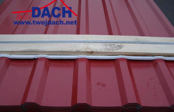 najtańsza blacha , najtańszy blacha, najtańsze trapezy , tanie blachodachówki , tanie blachy, tanie trapezy , tanio blachodachówki, tanio trapezy, tanio blachy, tanio blachy dachowe, tanie pokrycia dachowe, tanie blachy tanio trapezyP1220066_kopia