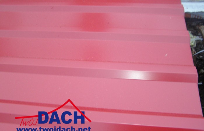najtańsza blacha , najtańszy blacha, najtańsze trapezy , tanie blachodachówki , tanie blachy, tanie trapezy , tanio blachodachówki, tanio trapezy, tanio blachy, tanio blachy dachowe, tanie pokrycia dachowe, tanie blachy tanio trapezyP1220071_kopia